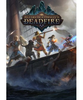 Pillars of Eternity II: Deadfire GOG.com Key GLOBAL